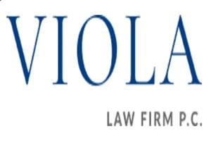 lawyer