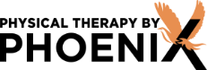 physical-therapist
