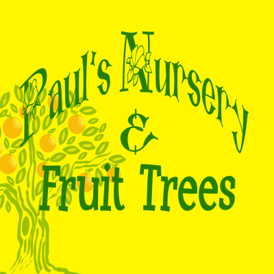 nurseries-gardening-store