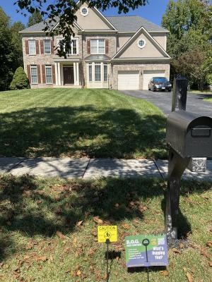 landscape-company