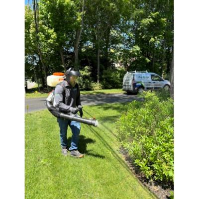 pest-control-service