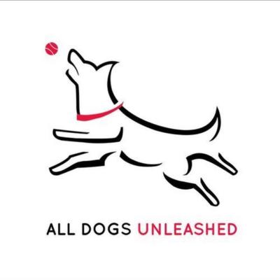 dog-day-care-center