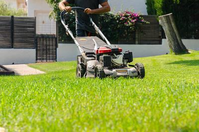 landscape-company