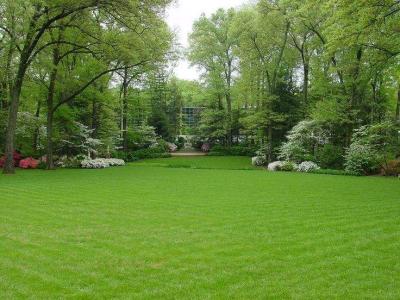 landscape-company
