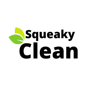 cleaning-service