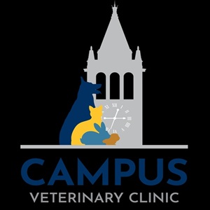 veterinarian