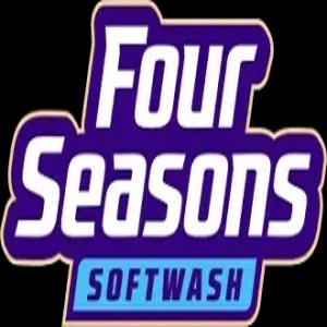 cleaning-service
