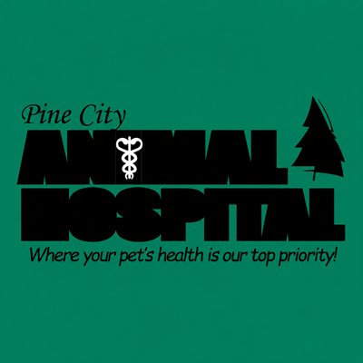 veterinarian