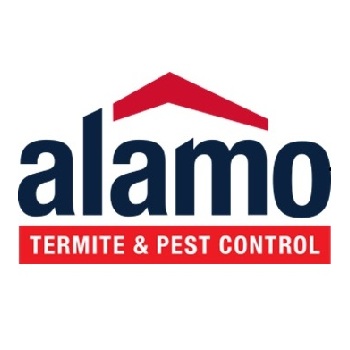 pest-control-service