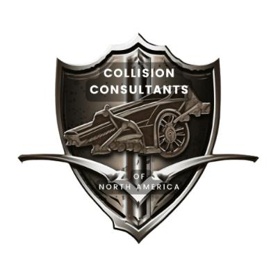 consultant
